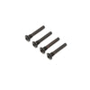 Outer Hinge Pin Screws